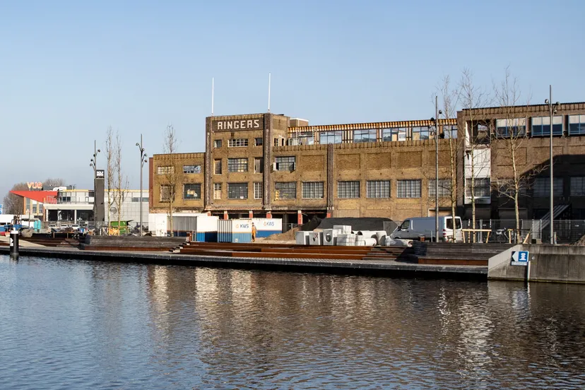 3z1a8408 ringers wim meijer fotografie