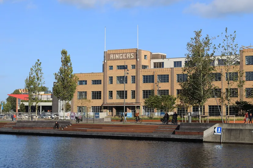 3z1a8666 ringersplein wim meijer fotografie