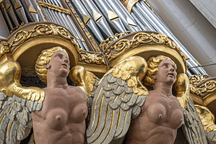 3z1a9351 orgel grote kerk wmf