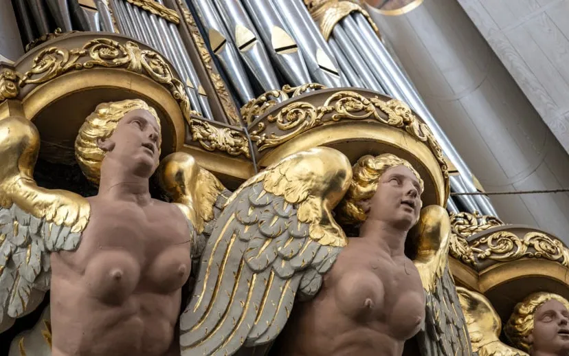 3z1a9351 orgel wmf 915x518 1