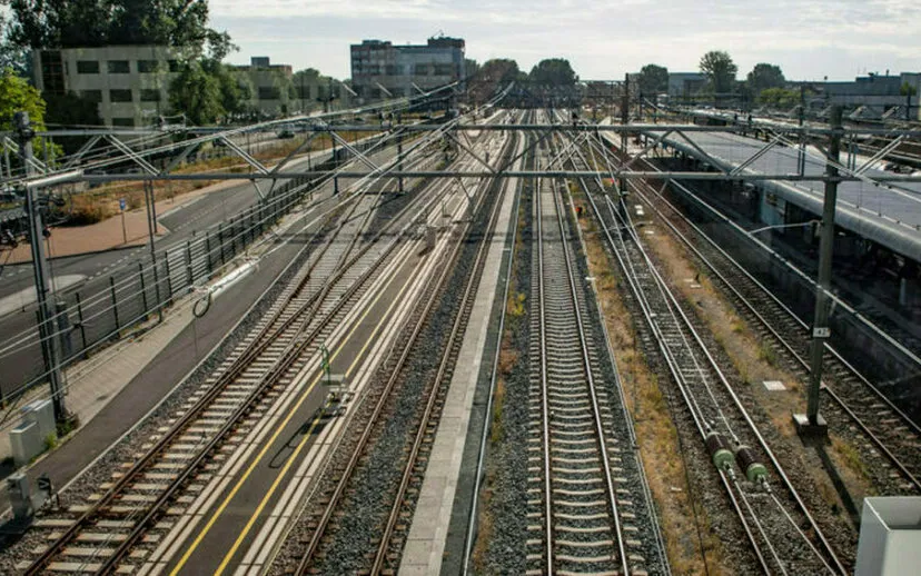 5i5a8192 spoor wmf 915x518 cover 915x518 1 915x518 1 915x518 1