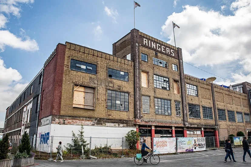 5i5a8951 ringers wim meijer fotografie