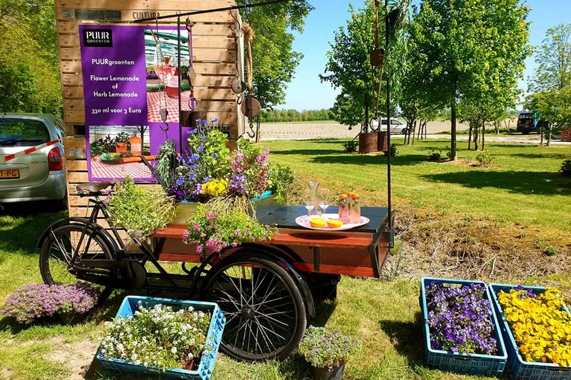 98291144 3191919020828469 5142868722985205760 n