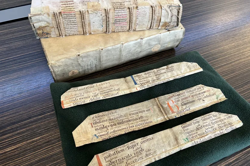 afb1 fragmentenbanden