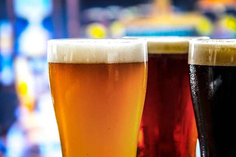 alkmaar drinkt bier unsplash