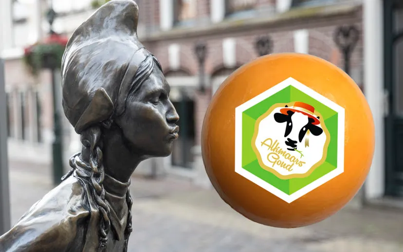 alkmaars goud wim meijer fotografie 915x518 1