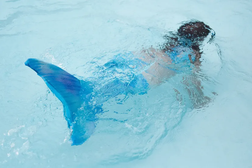 allie smith dvgqtjy3avi unsplash