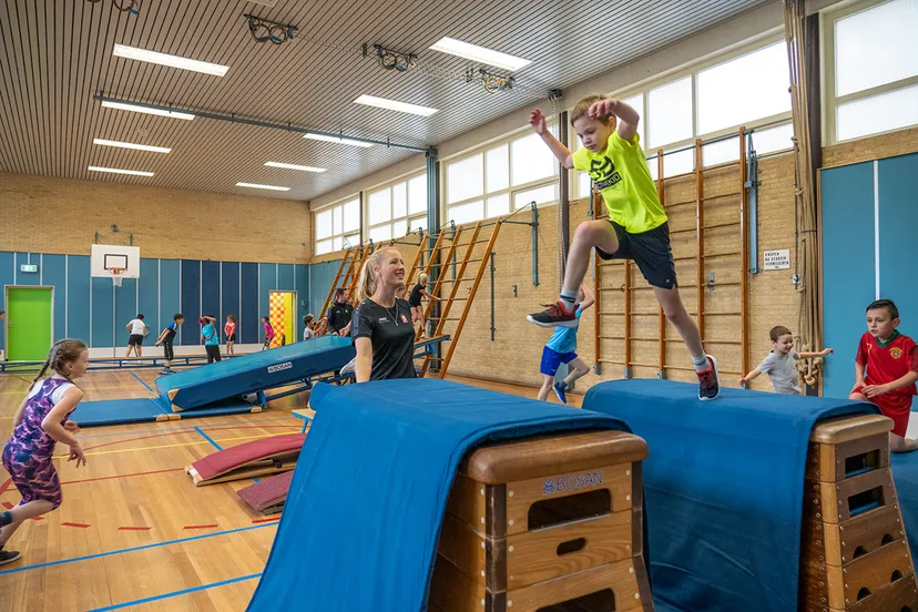 as hs vakleerkracht hr 6