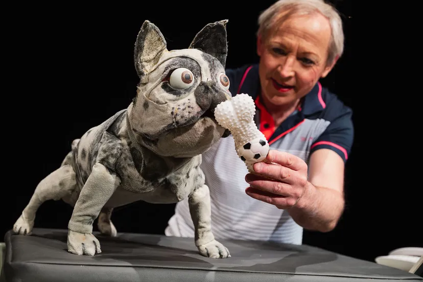 beefteefjes creditbowieverschuuren