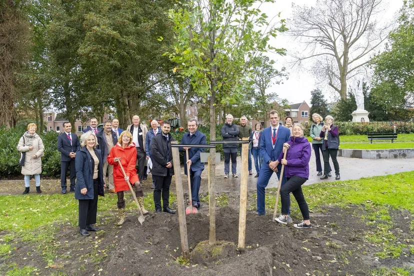 boom victoriepark auc 13 oktober 1536x1182 1