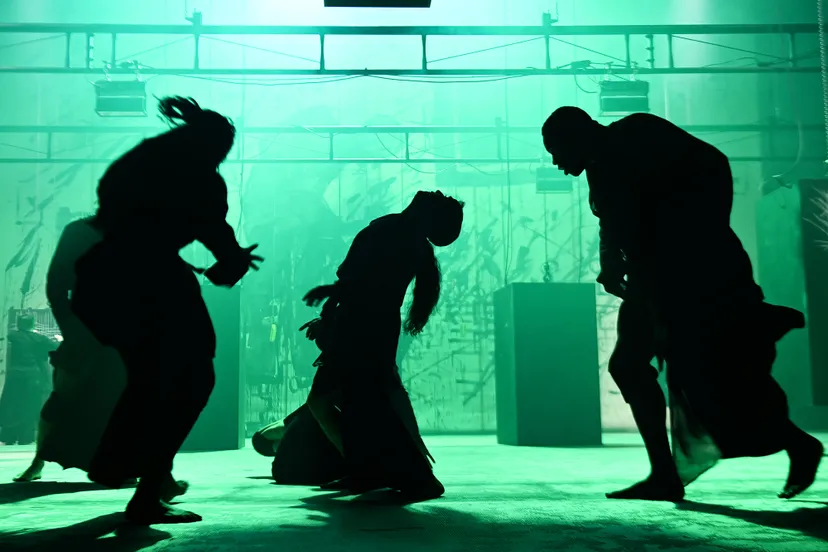 club guyroni freedom 31