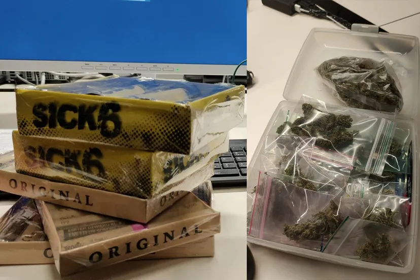 cobra hennep politie