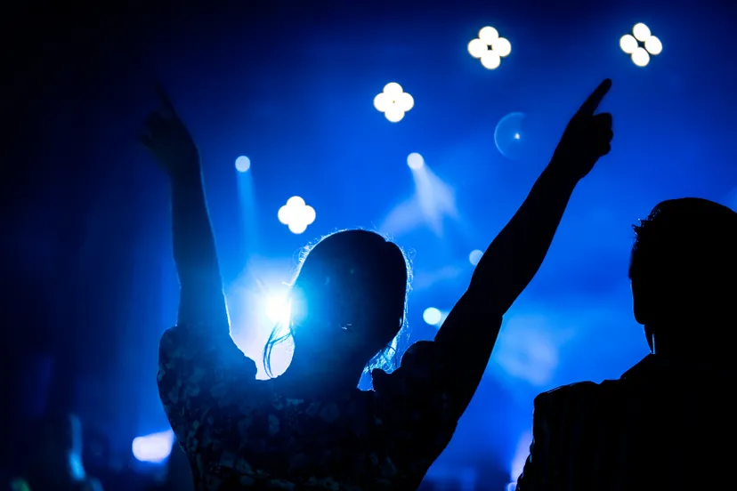 copyright fabian postma