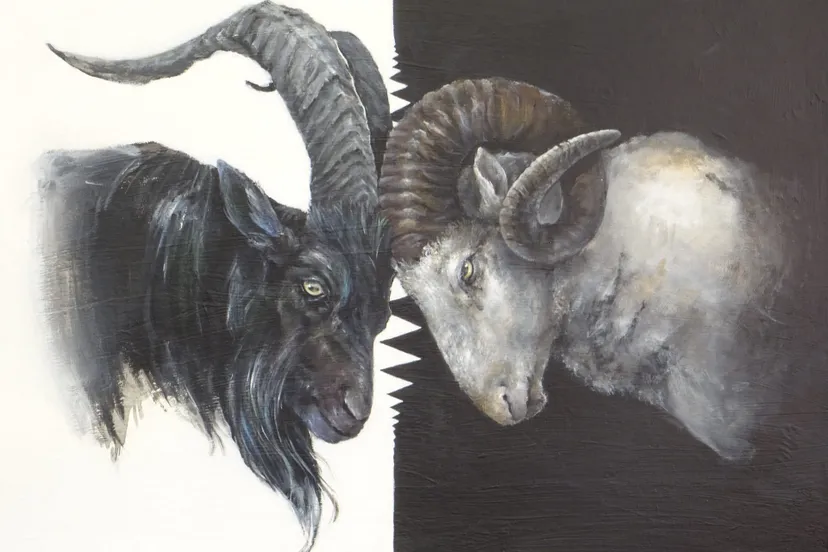 defiance against the flock jody dijzer