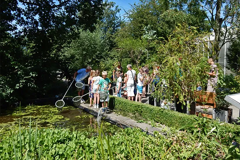 foto beestjesdag een paar jaar geleden dscn5990