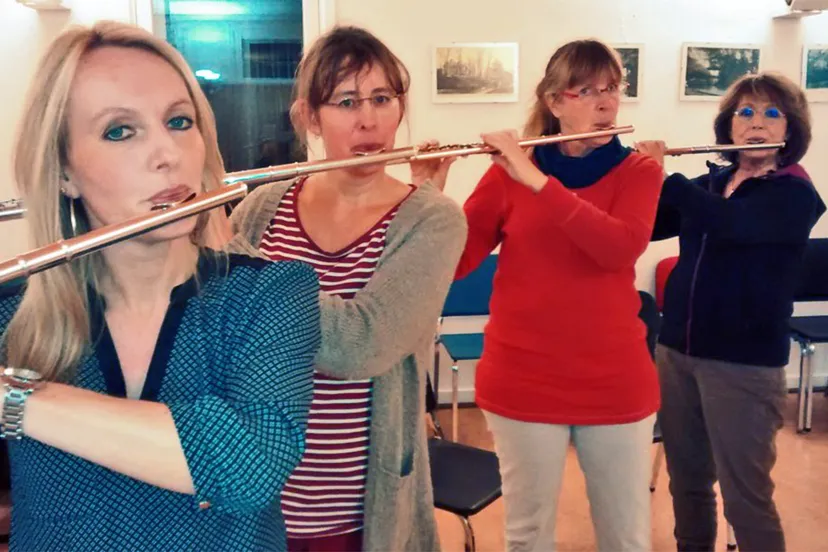 foto dwarsfluit voor dummies