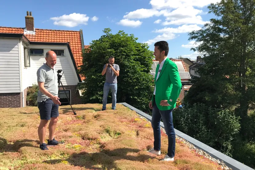 gluren bij duurzame buren sedum dak