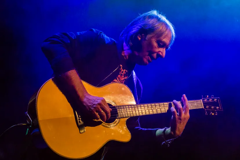 harry sacksioni zomersessies