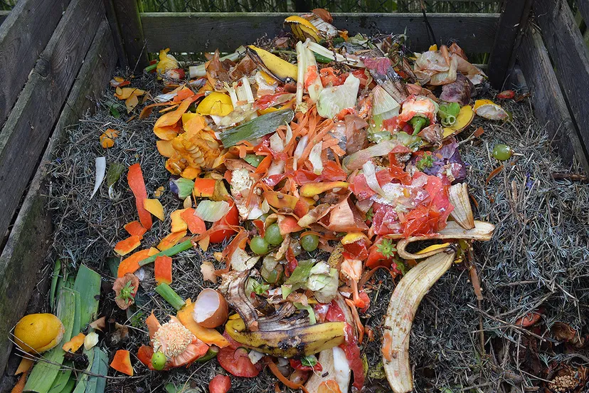 image from rawpixel id 5905852 jpeg kopieren