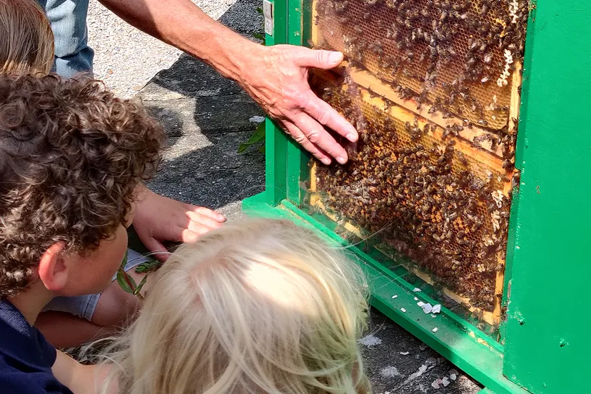 img 20210711 155718 1