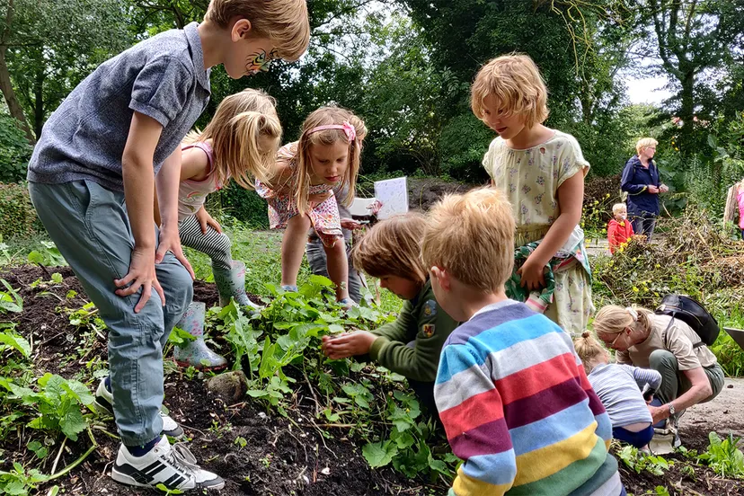 img 20210808 150118 1