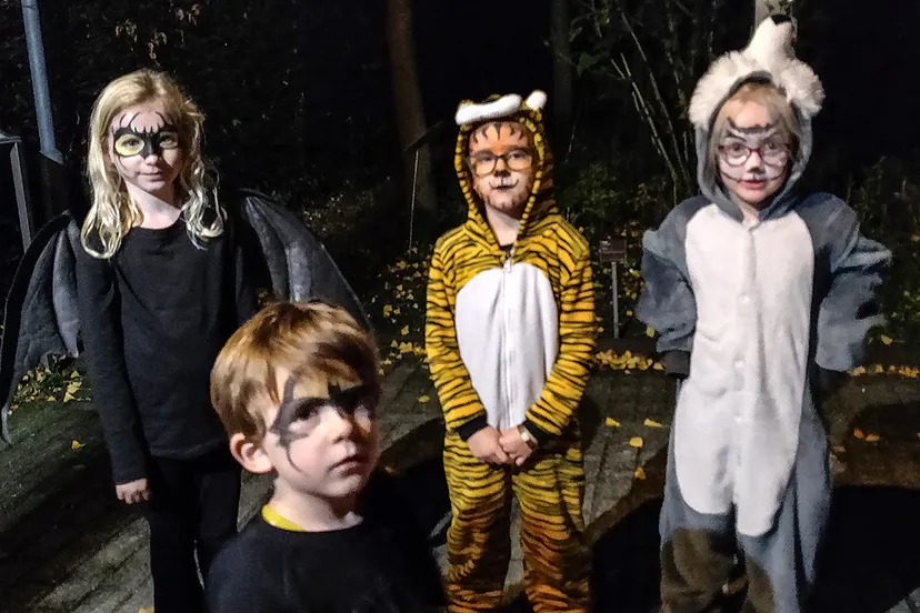 img 20221029 191635 kopieren