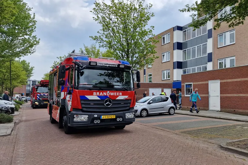 img 20230506 wa0059 kopieren