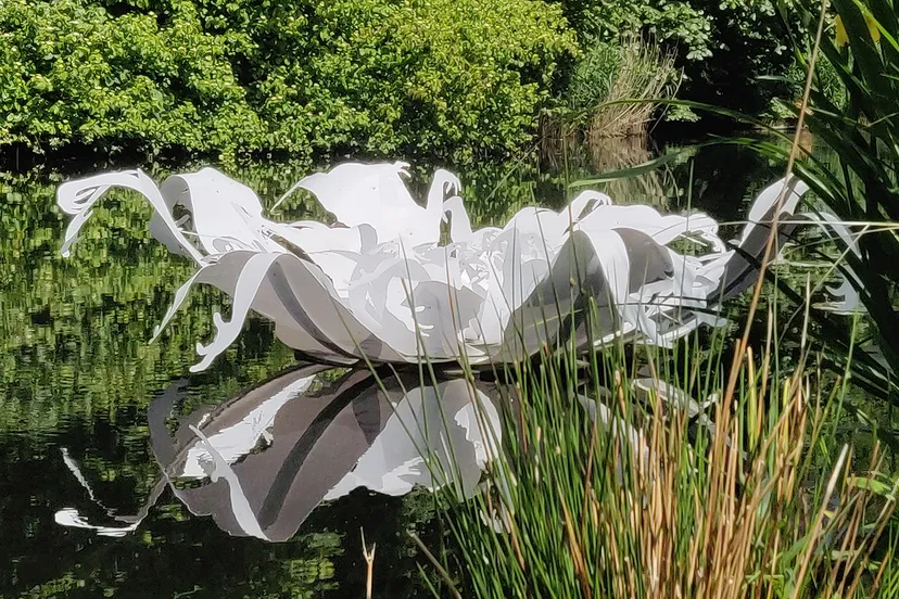 img 20230531 115415 kopieren