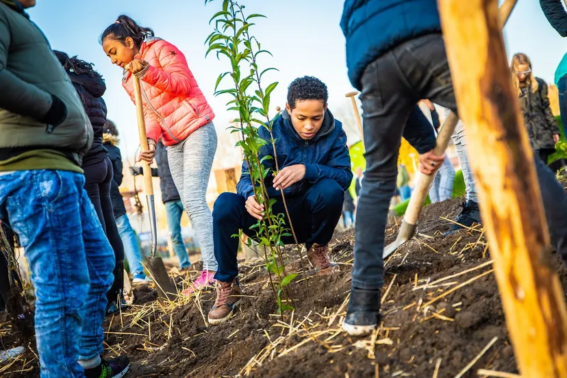 ivn tinyforest rechtenvrij 1 lr