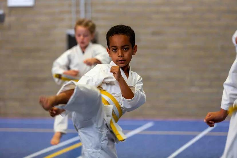 karate afbeelding jongen