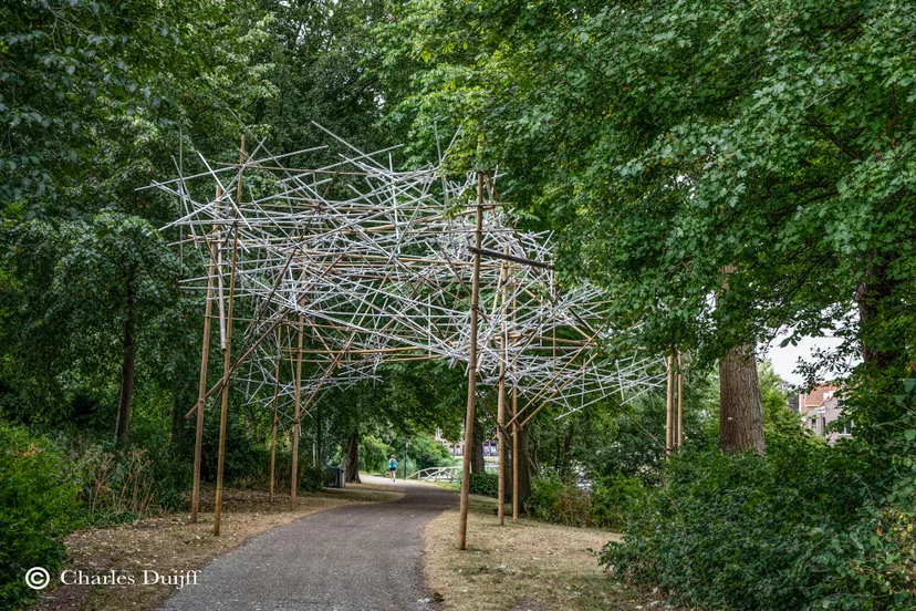 lopehole jimi kleinbruinink