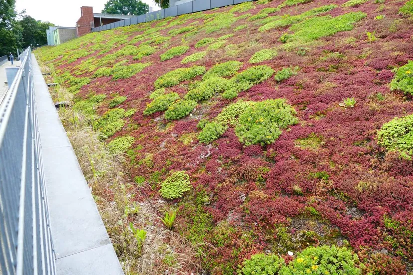 microsoftteams image 22 1024x683 1