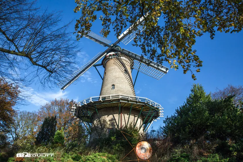 molen v piet iggend 2