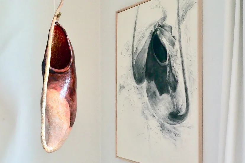 neubauerbuidel met tekening 2017 kopieren