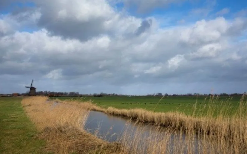 omgevingsverordening provincie noord holland 915x518