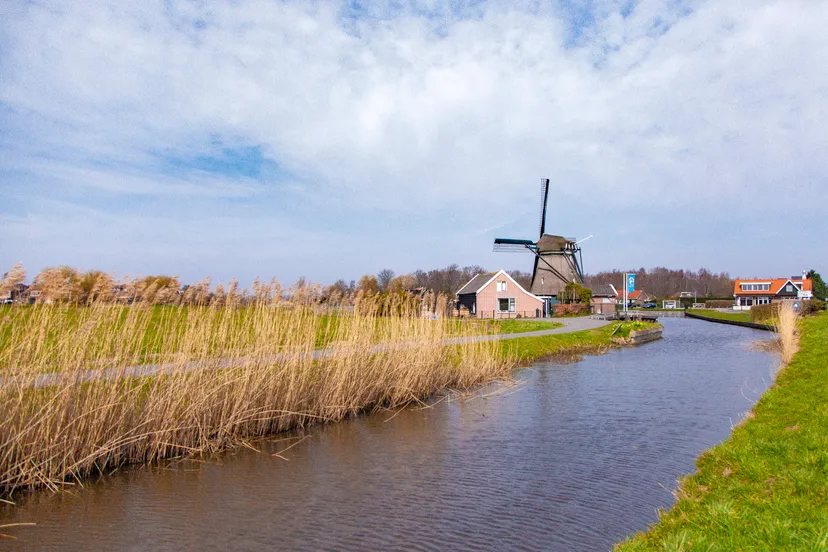 pb 14 open molen en gemalendag 1 de dog