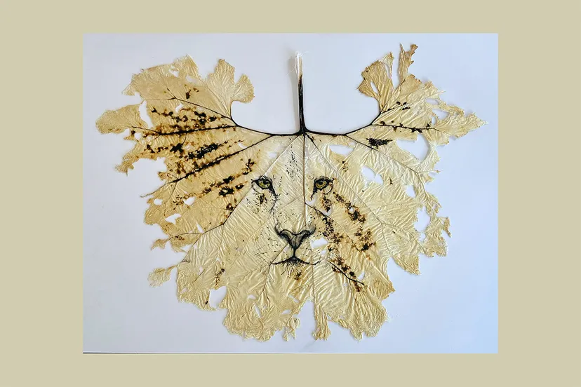 reynisdottir leeuw 2022 b