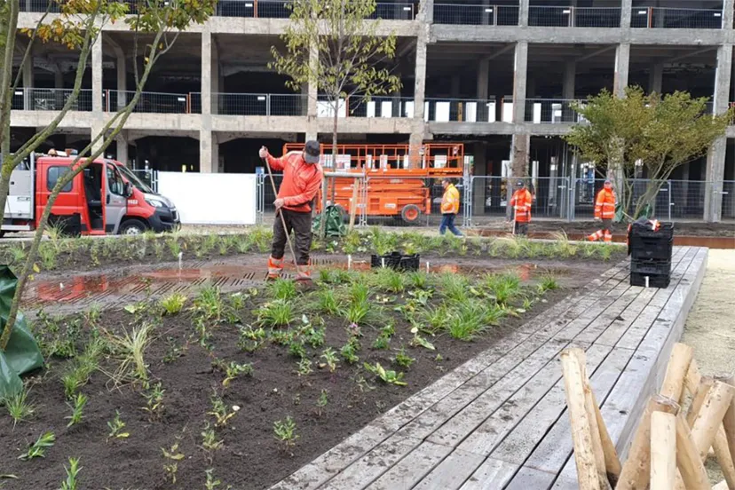 ringersplein groen 1 1024x576 1