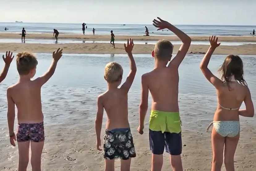 rtv heemskerk brexit