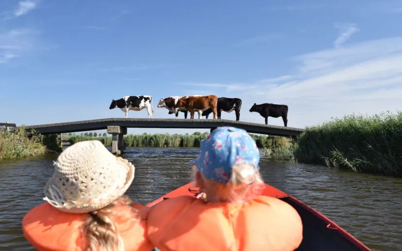 schermafbeelding 2019 07 31 om 153201 915x518