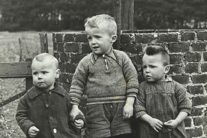 sfa02 1000767 01 x 1