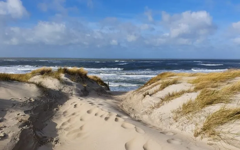 strand texel wim meijer fotografie 915x518