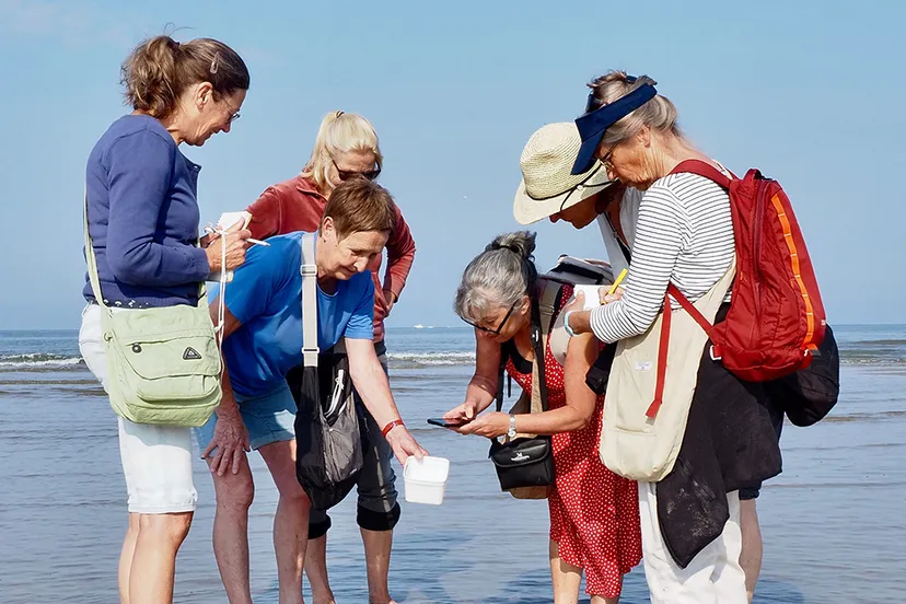strandwerkgroep chrystal cochius b