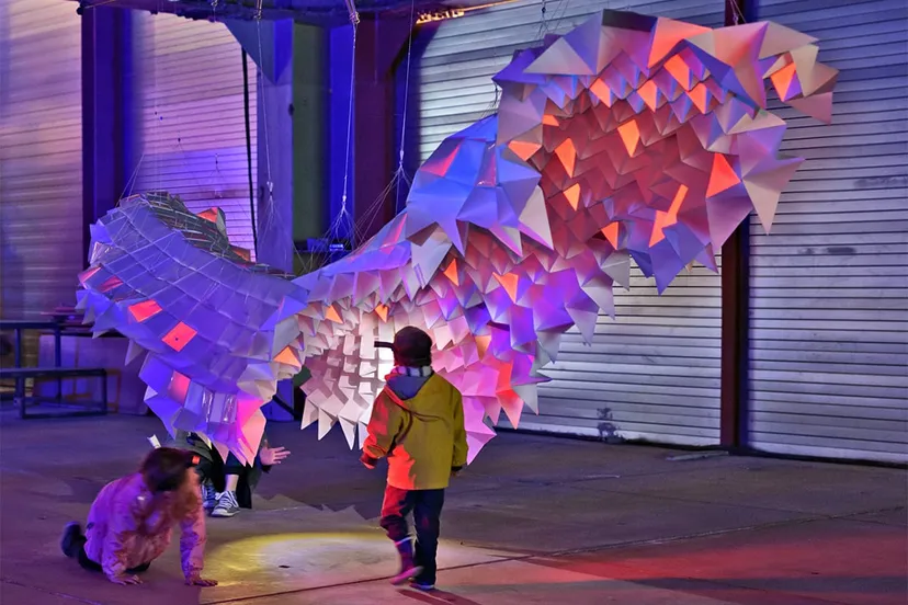 tomopteris magna ana oosting medium