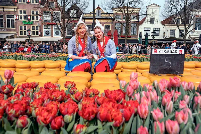 tulpenkaasmarkt kaasmeisjes fotografie rick akkerman