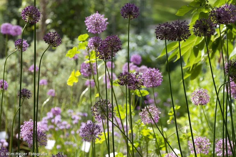 tumblr n6ji1wwtgz1svvyvco1 1280