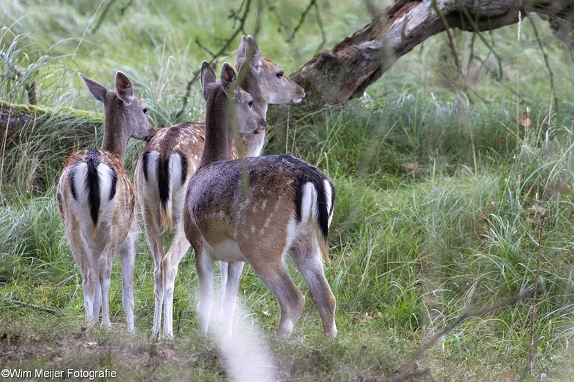 tumblr nd4ez8hdxp1svvyvco8 1280