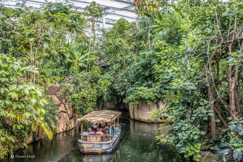 varen door jungle