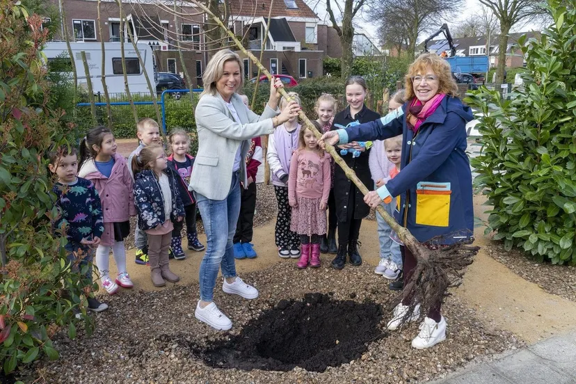 weggeefactie bomen obs de sterrenwachter 1536x1239 1