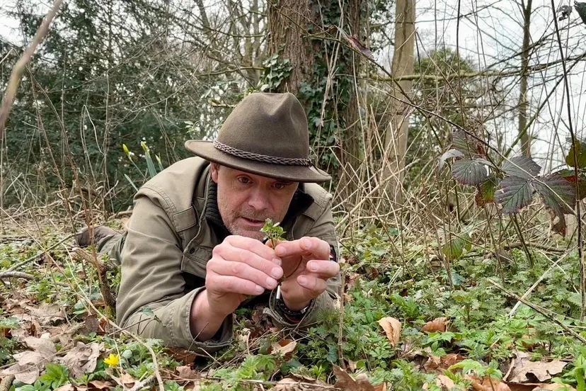 whatsapp image 2023 04 08 at 102625 1